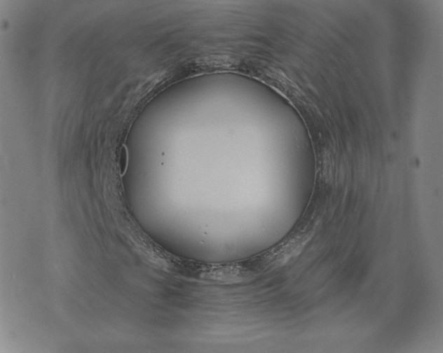 X0000076311201200610161610