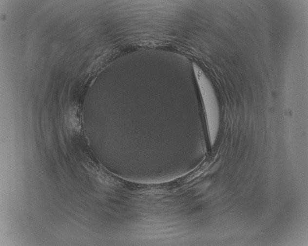 X0000076311202200610161610