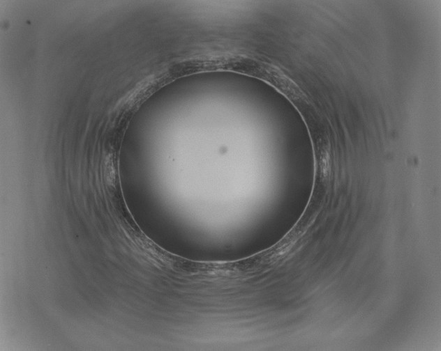 X0000076311204200610161610