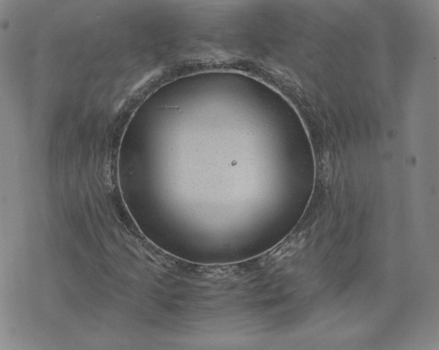 X0000076311205200610161610