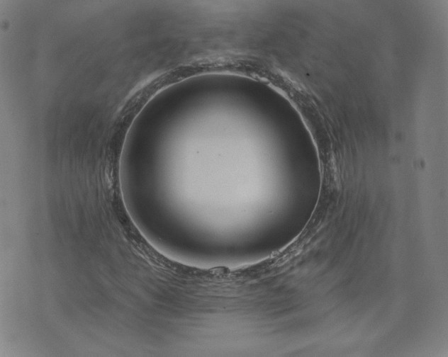 X0000076311206200610161610