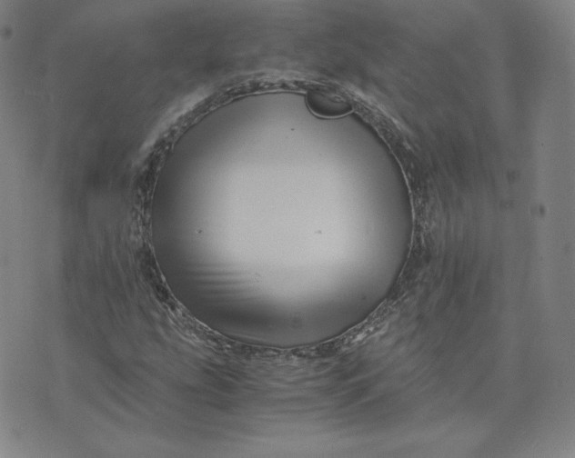 X0000076311207200610161610