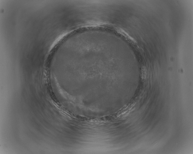 X0000076311208200610161610