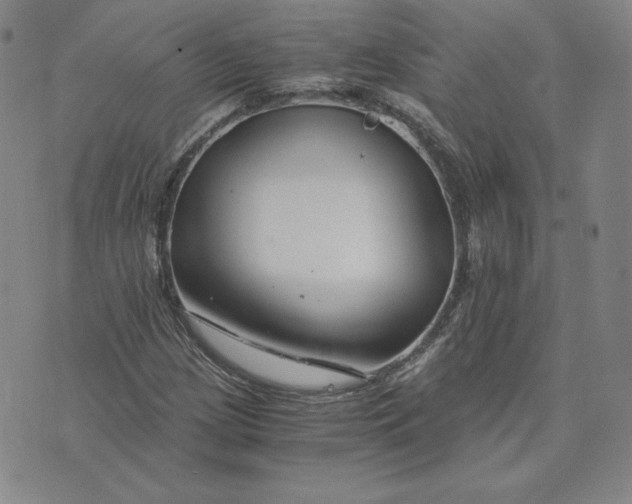 X0000076311209200610161610