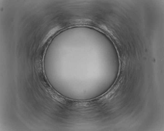 X0000076311211200610161610