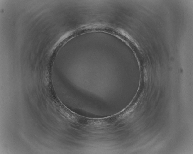 X0000076311213200610161610