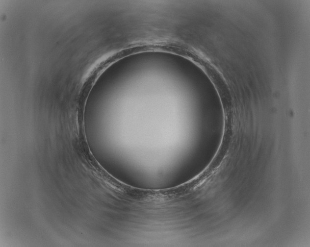 X0000076311214200610161610