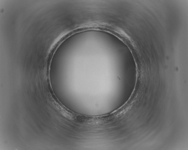 X0000076311216200610161610