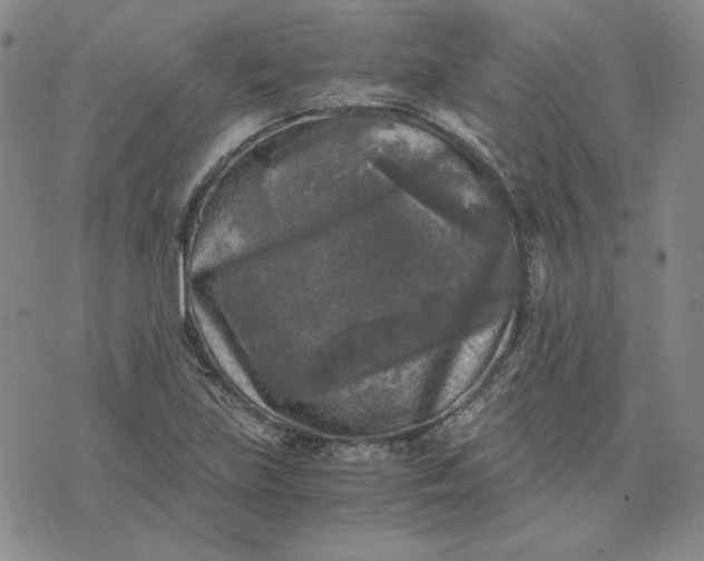 X0000076311219200610161610