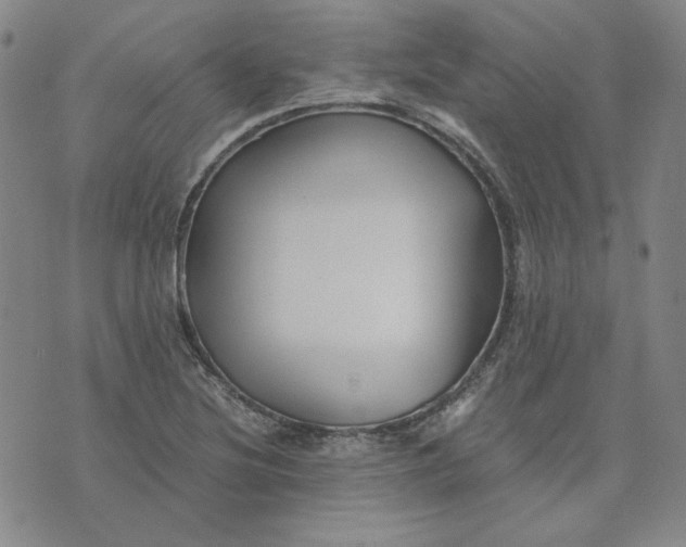 X0000076311220200610161610