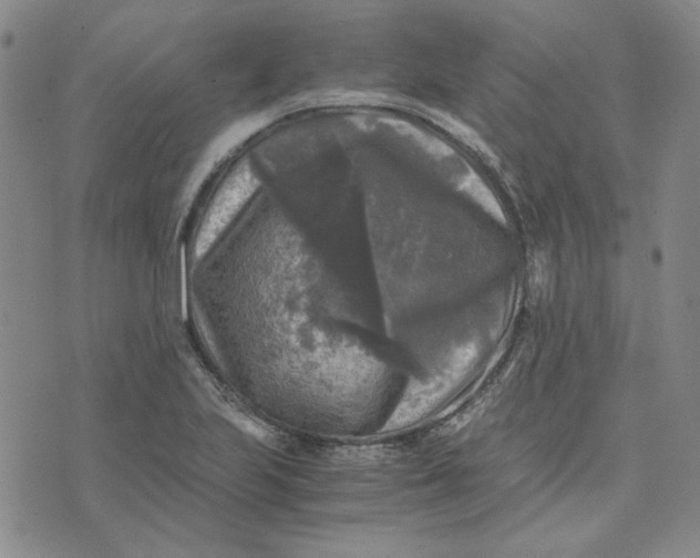 X0000076311223200610161610