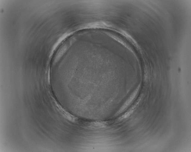 X0000076311224200610161610