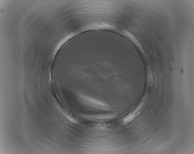 X0000076311226200610161610