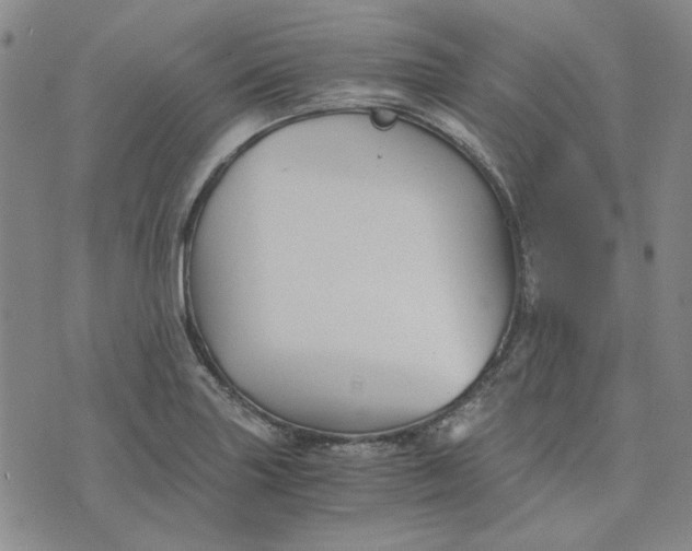 X0000076311227200610161610