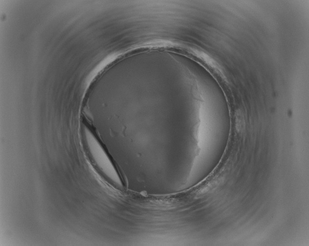 X0000076311229200610161610