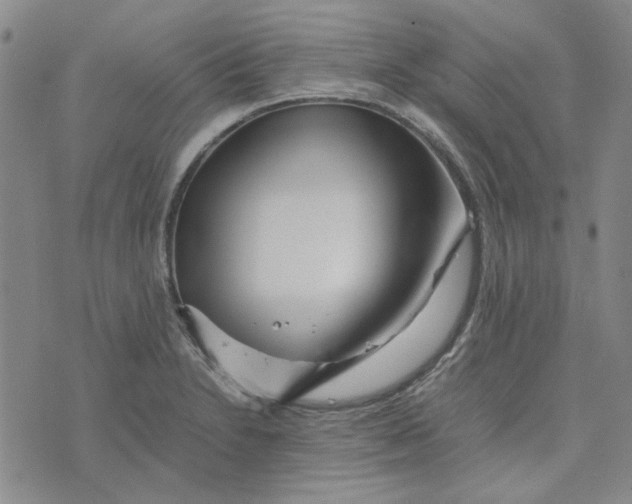 X0000076311230200610161610