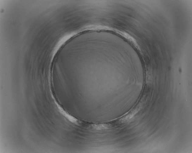 X0000076311231200610161610