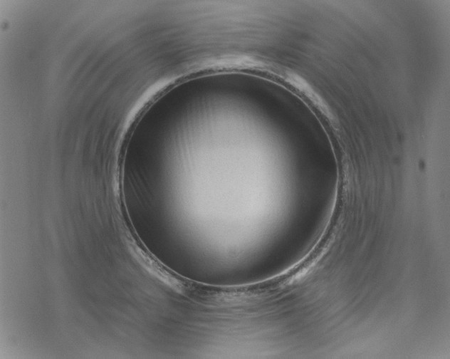 X0000076311232200610161610