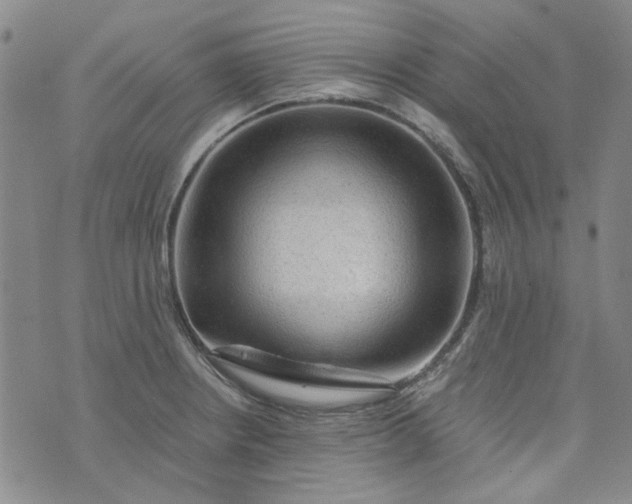 X0000076311234200610161610