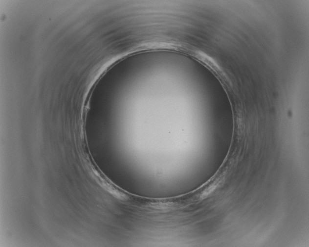 X0000076311236200610161610