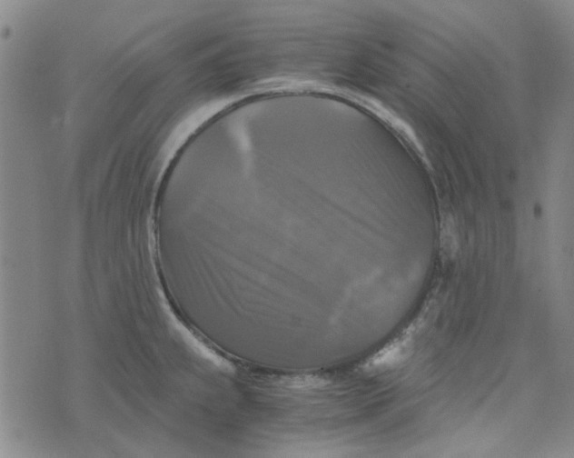 X0000076311239200610161610