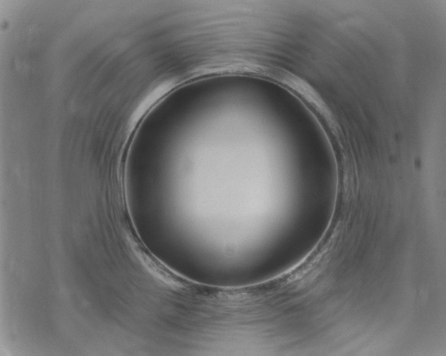 X0000076311242200610161611