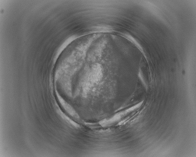 X0000076311243200610161611