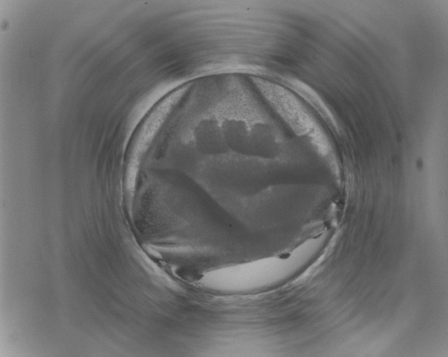 X0000076311244200610161611