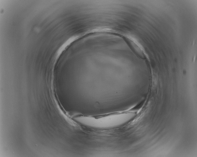 X0000076311245200610161611