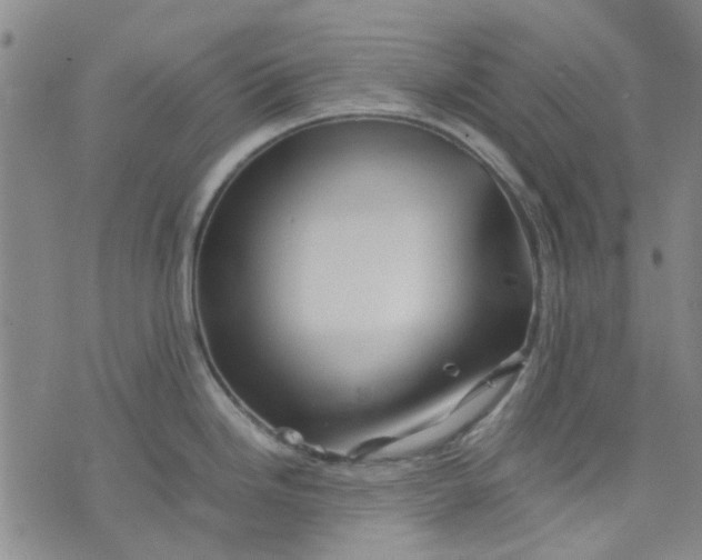 X0000076311246200610161611