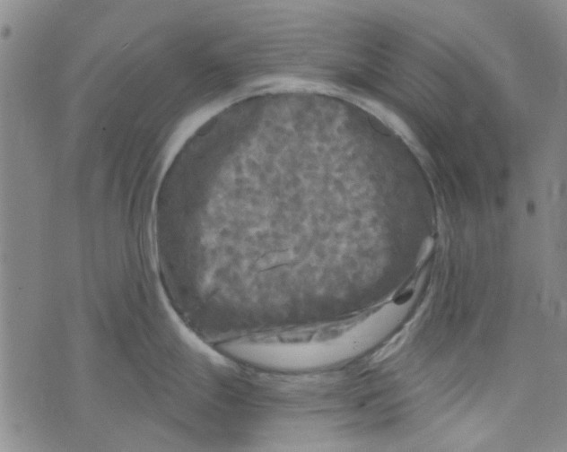 X0000076311247200610161611