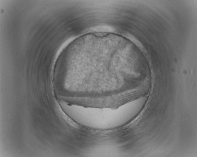 X0000076311248200610161611