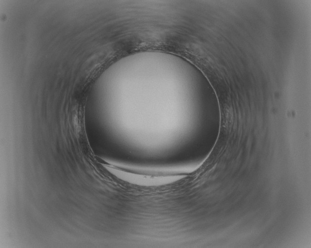 X0000076311250200610161610