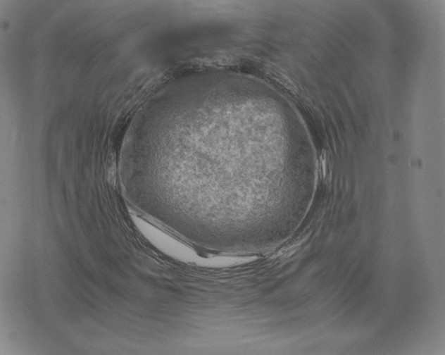 X0000076311251200610161610