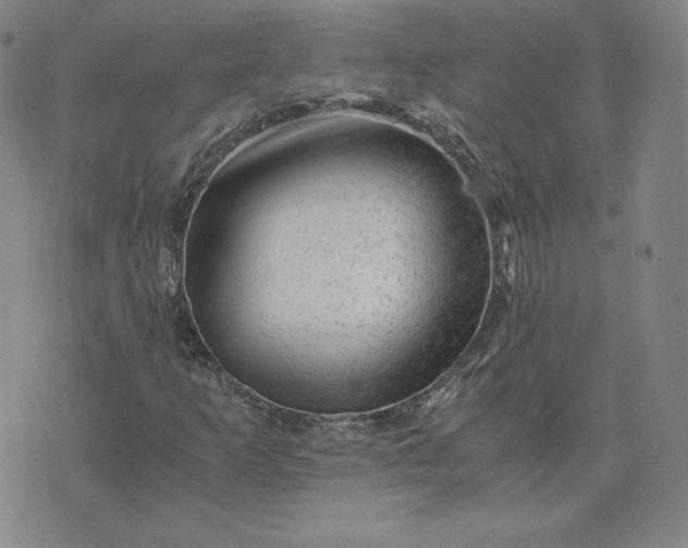 X0000076311253200610161610