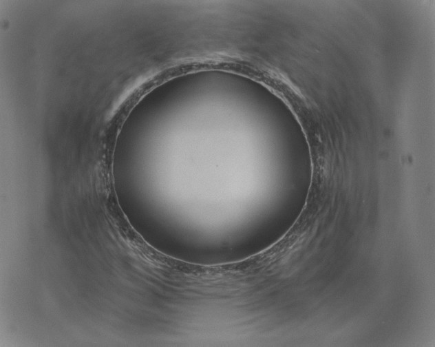 X0000076311256200610161610