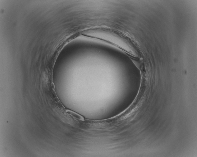 X0000076311257200610161610