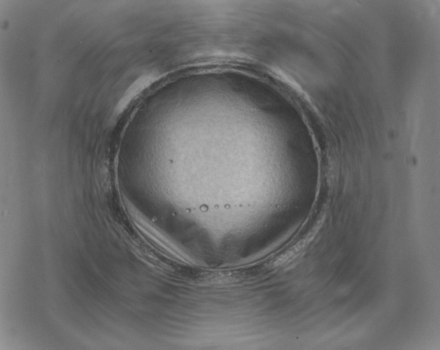 X0000076311259200610161610