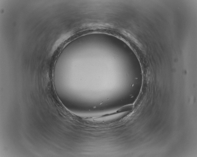 X0000076311261200610161610