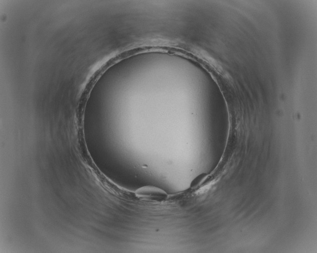 X0000076311264200610161610