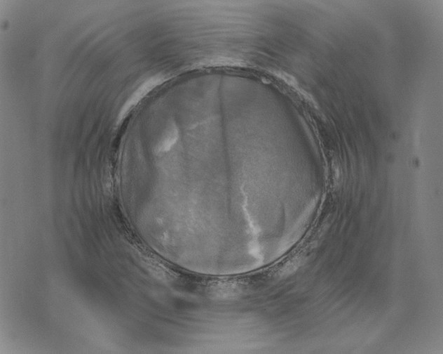 X0000076311266200610161610