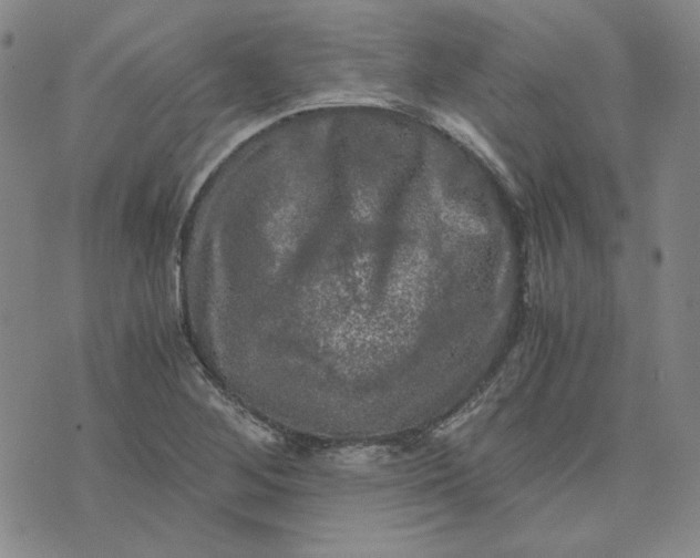 X0000076311268200610161610