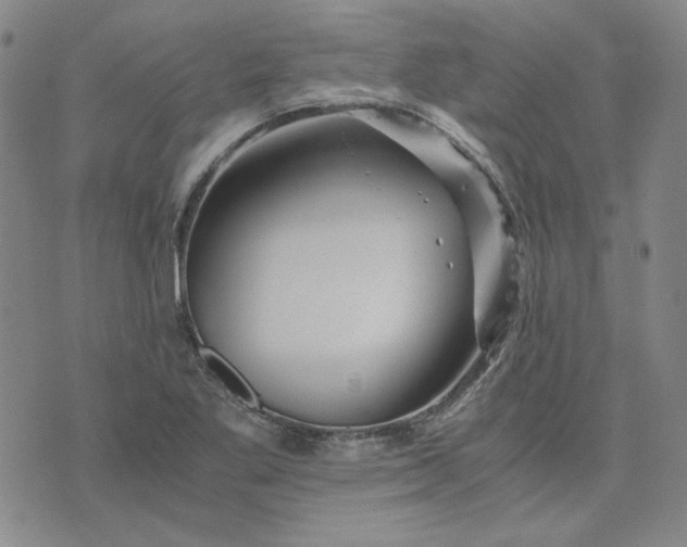 X0000076311269200610161609