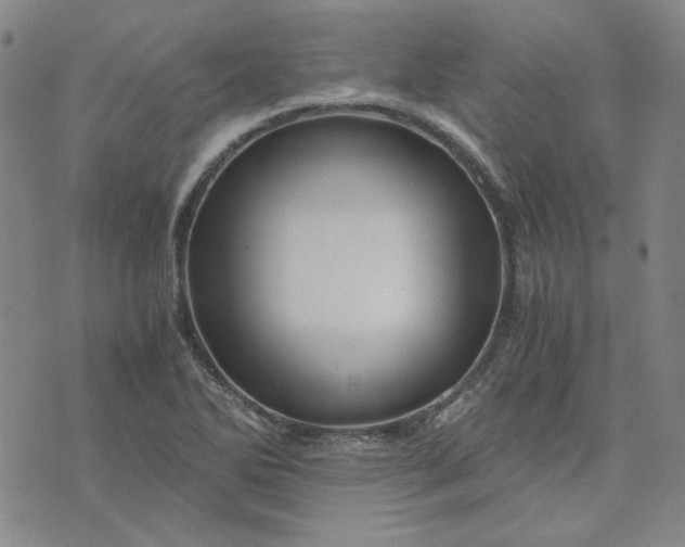 X0000076311270200610161609