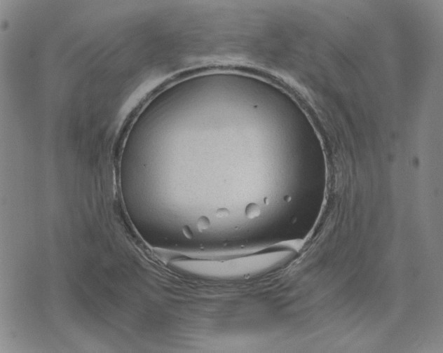 X0000076311271200610161609