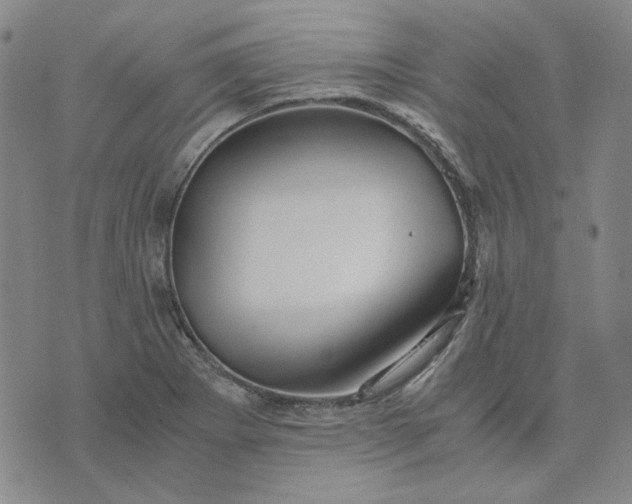 X0000076311273200610161609