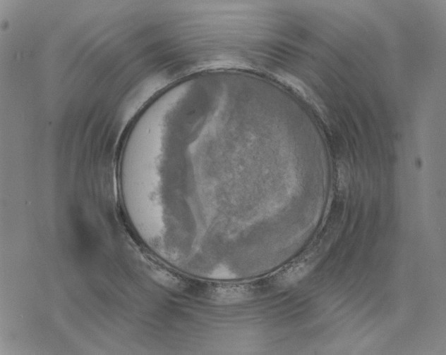 X0000076311274200610161609