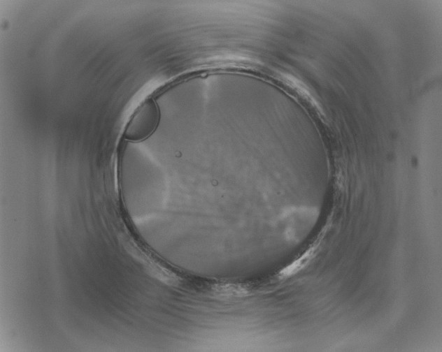 X0000076311275200610161609