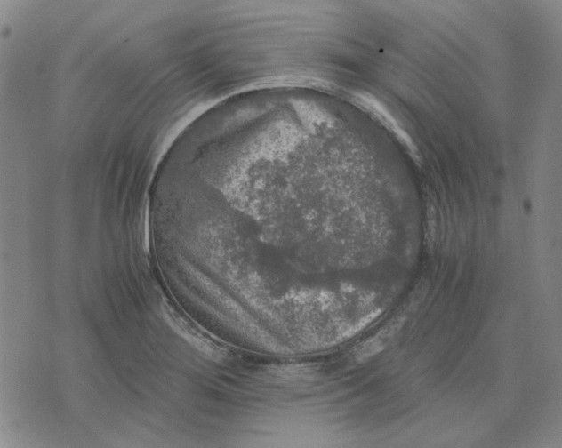 X0000076311276200610161609