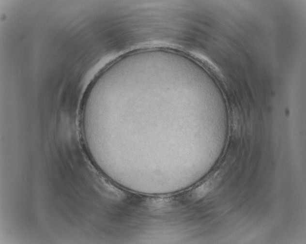 X0000076311278200610161609